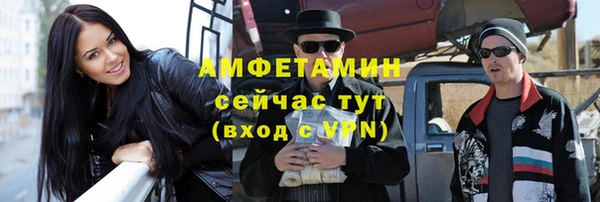 шишки Вязьма