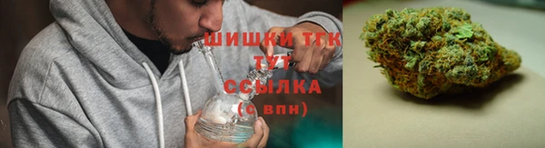 шишки Вязьма