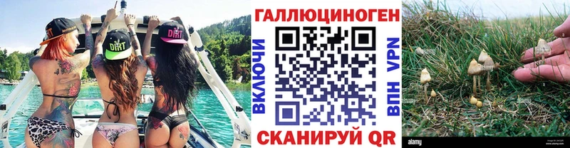 Псилоцибиновые грибы прущие грибы  Железногорск-Илимский 